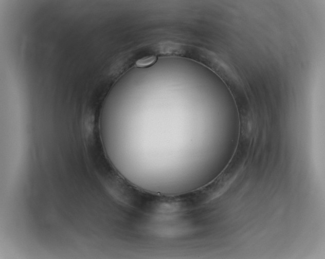 X0000111490263200907211015