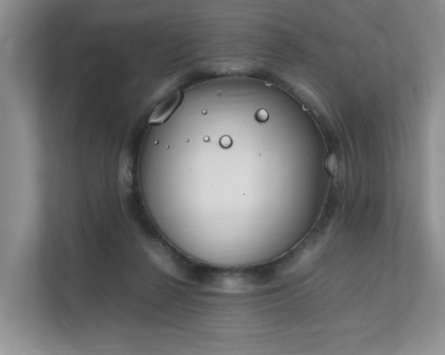 X0000111490264200907211016