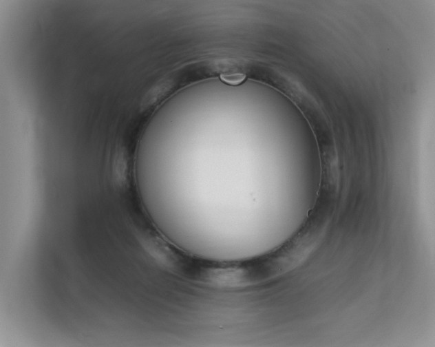 X0000111490266200907211016