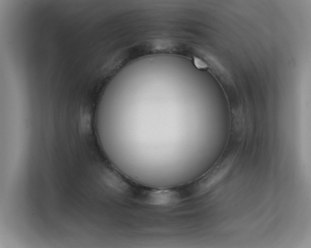 X0000111490269200907211016