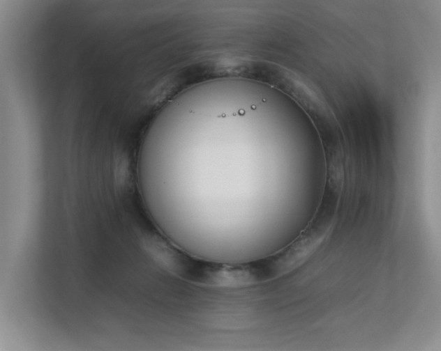 X0000111490270200907211016