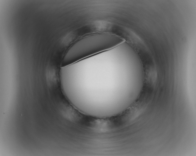 X0000111490272200907211016