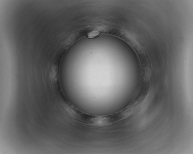 X0000111490273200907211016