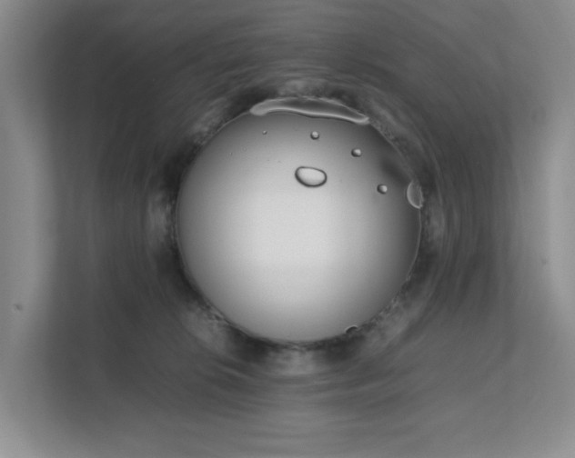 X0000111490276200907211016