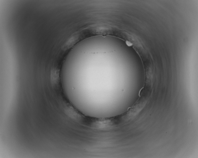 X0000111490278200907211016