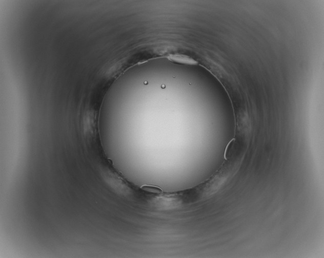 X0000111490280200907211016