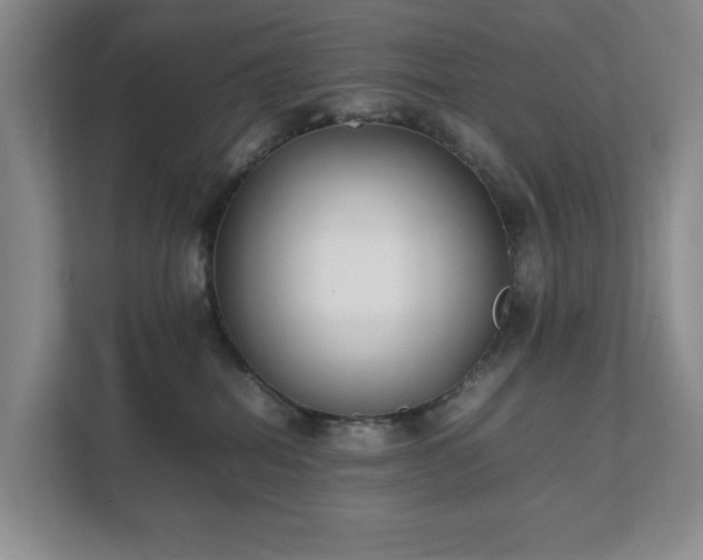 X0000111490282200907211016