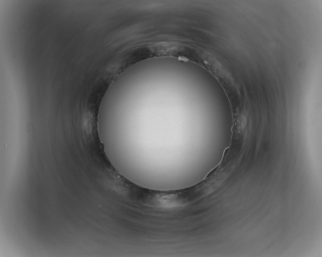 X0000111490283200907211016