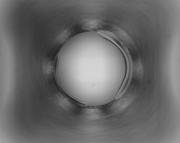 X0000111490284200907211016