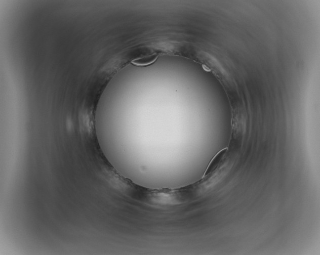 X0000111490285200907211016