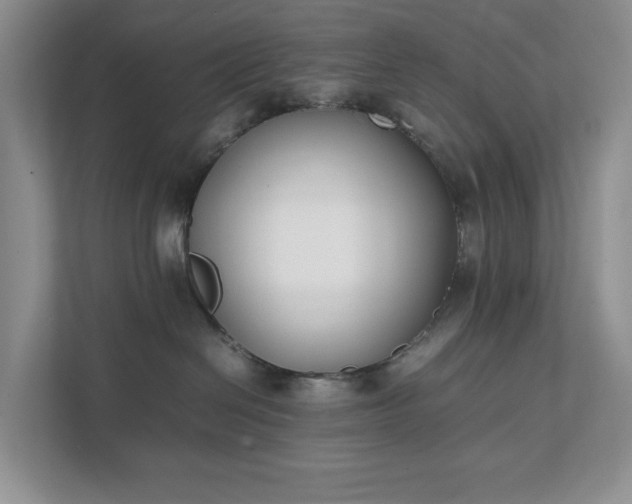 X0000111490286200907211016