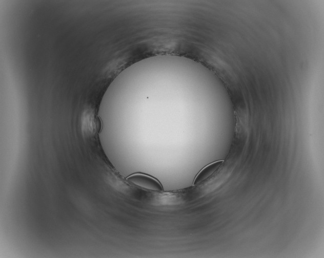 X0000111490287200907211016