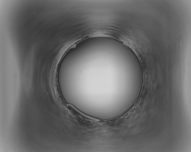 X0000111490289200907211015