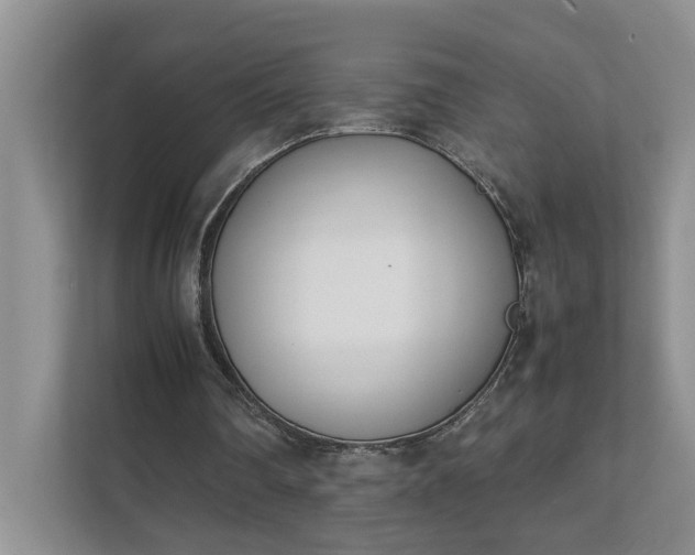 X0000111490290200907211015