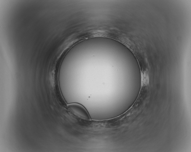 X0000111490291200907211015