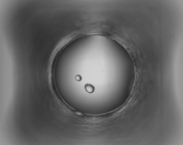 X0000111490293200907211015