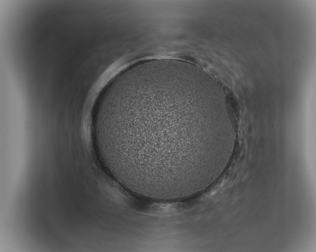 X0000111490295200907211015