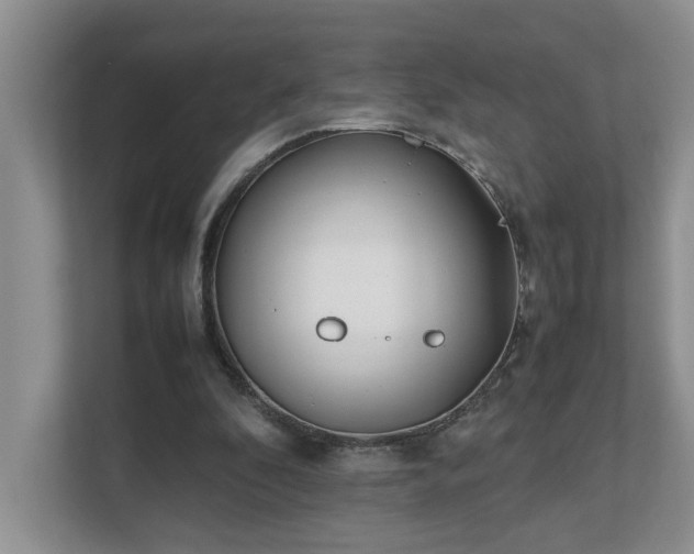 X0000111490296200907211015