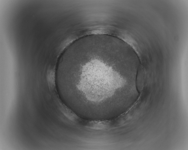 X0000111490297200907211015