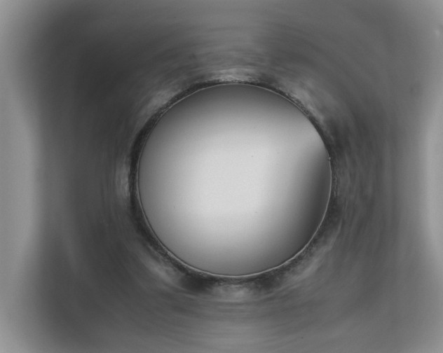 X0000111490299200907211015