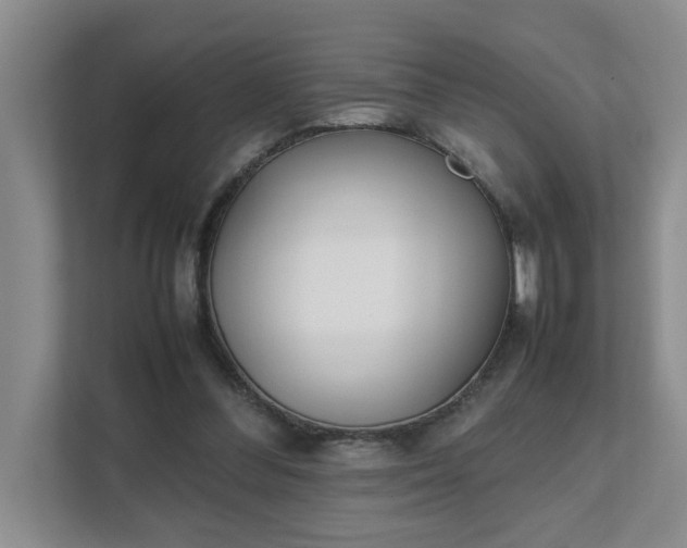 X0000111490300200907211015