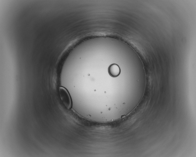 X0000111490304200907211015