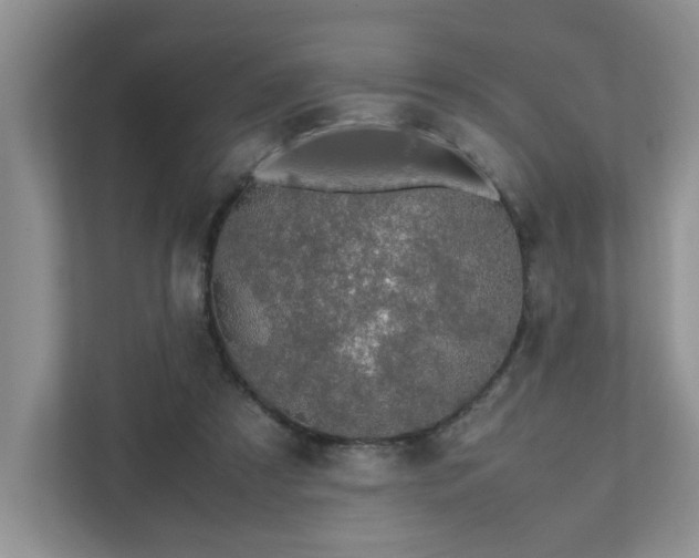 X0000111490305200907211015