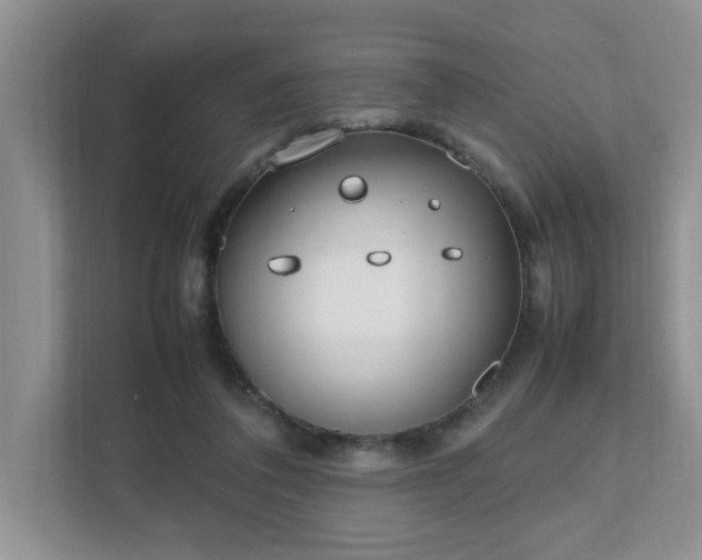 X0000111490308200907211015