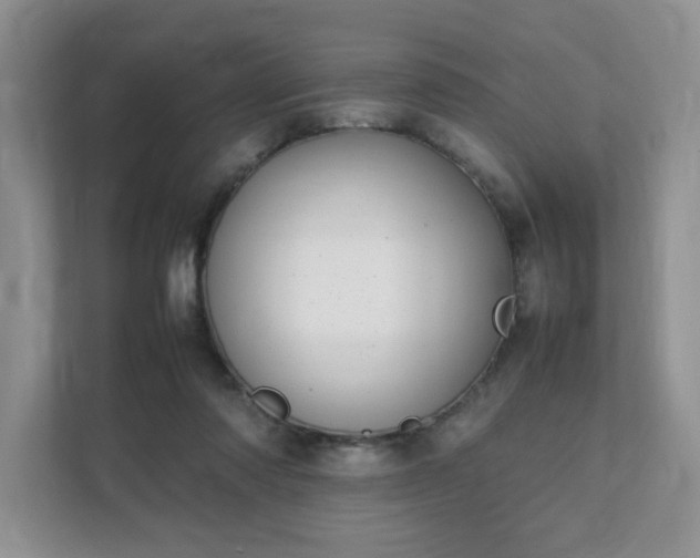 X0000111490310200907211015