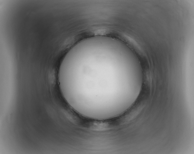 X0000111490311200907211015