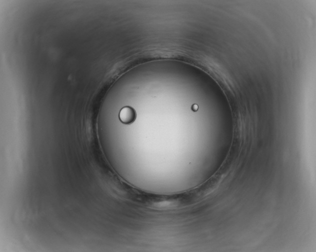 X0000111490312200907211015