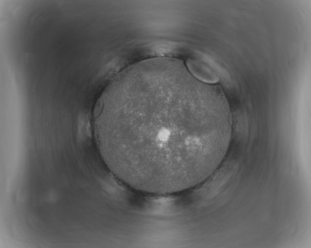 X0000111490313200907211015