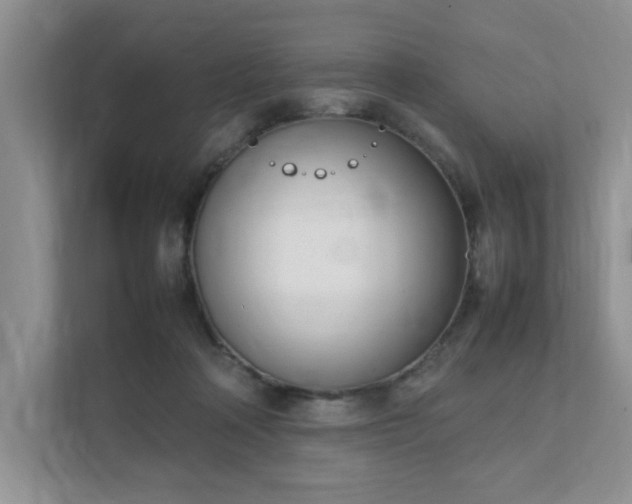 X0000111490314200907211015