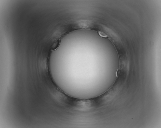 X0000111490317200907211015