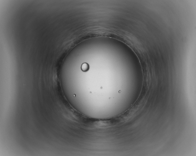 X0000111490320200907211015