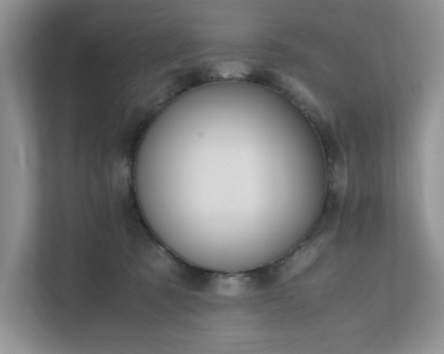 X0000111490321200907211015