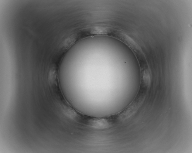 X0000111490322200907211015