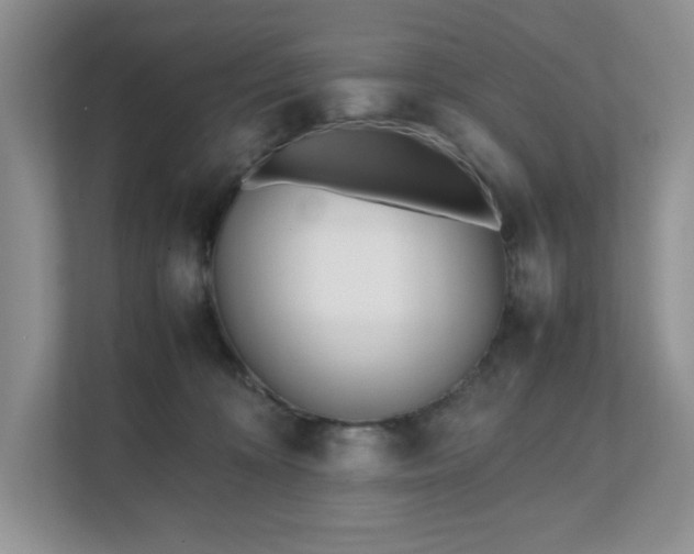 X0000111490324200907211015