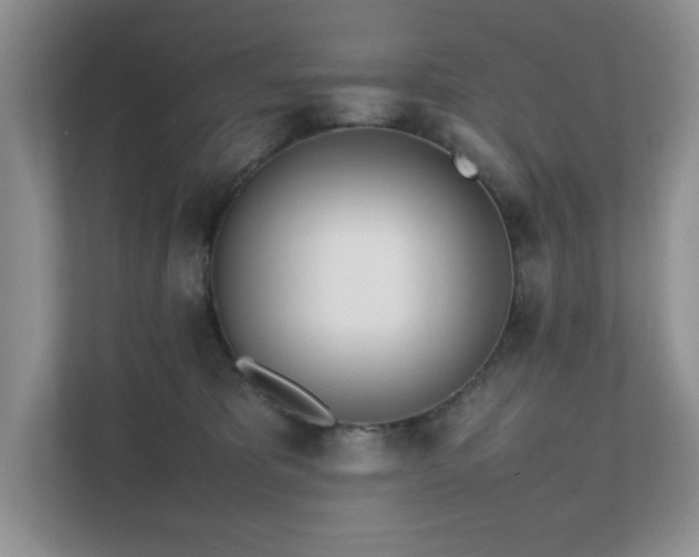 X0000111490325200907211015