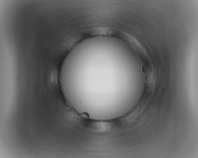 X0000111490326200907211015