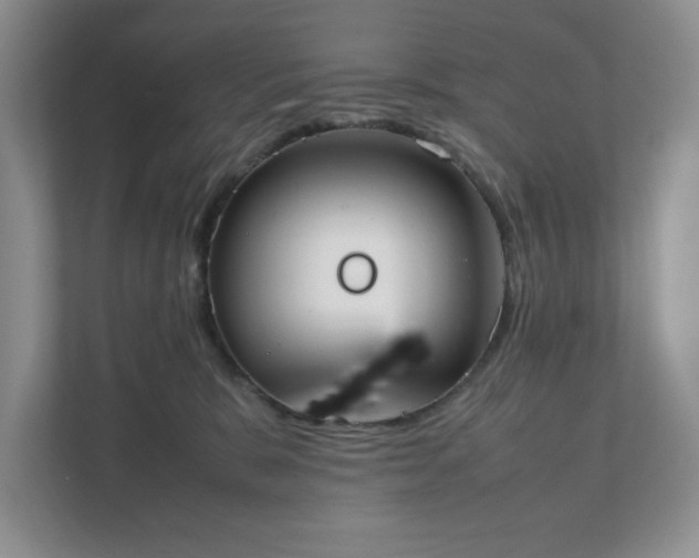 X0000111490327200907211015