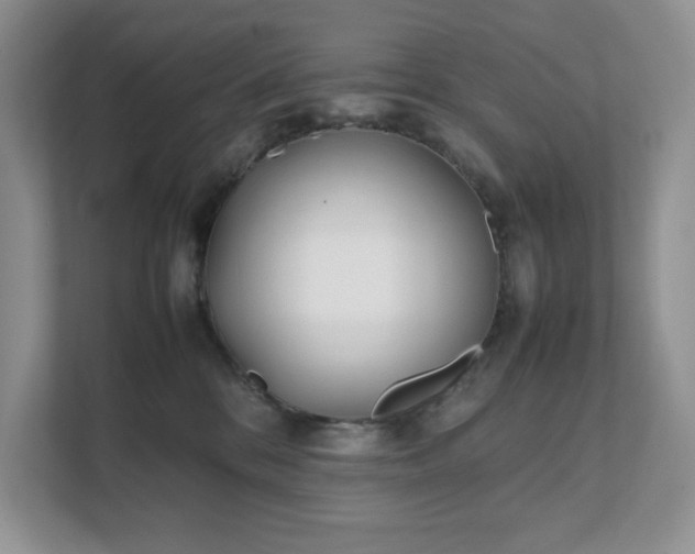 X0000111490328200907211015