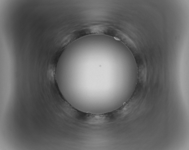 X0000111490329200907211015