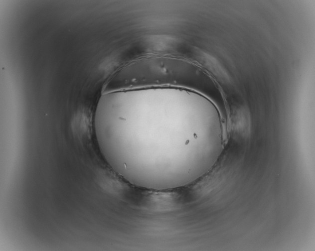 X0000111490332200907211015