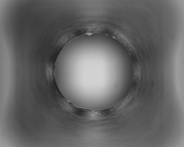 X0000111490333200907211015