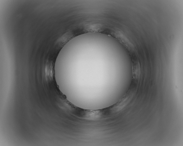 X0000111490334200907211015