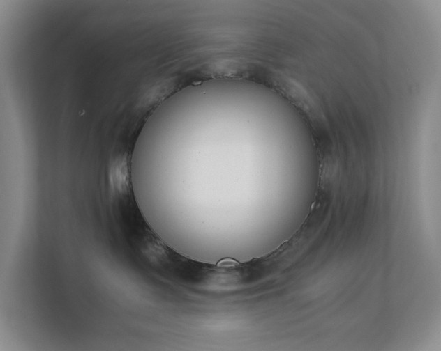 X0000111490335200907211015