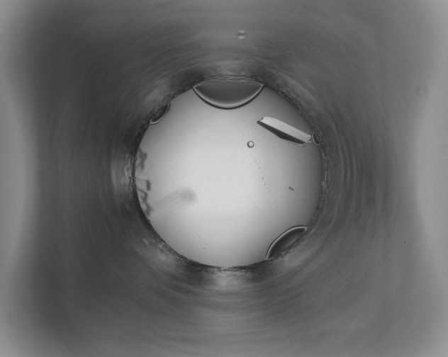 X0000111490336200907211015