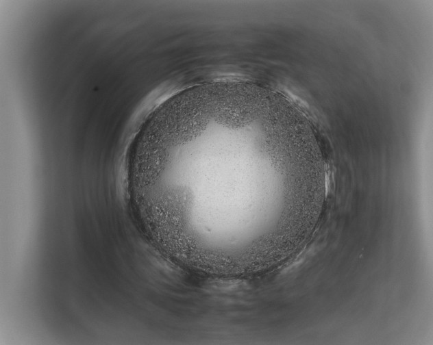 X0000111490339200907211014