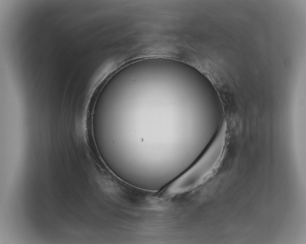 X0000111490340200907211014